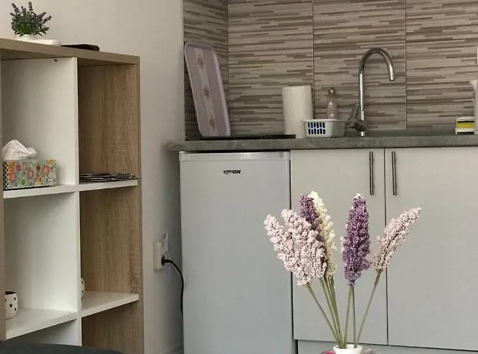 Golden Bridge Apartment